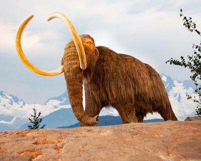 How living history is being written into rocks