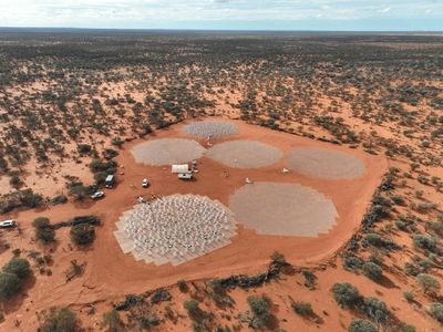 Whistleblower resigns in protest after inquiry finds ‘no credible evidence’ of wrongdoing at SKA Observatory