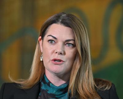 Greens say Labor’s nature laws revamp ‘worse than status quo’ with climate impact of fossil fuel projects overlooked