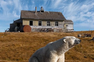 See the world in vertical: Top photos by AP's photojournalists