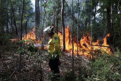 Australia and New Zealand issue extreme fire danger warnings as heat records tumble