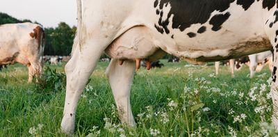 The politics of milk: how a simple drink got caught up in power, culture and identity