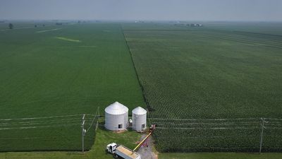 Donald Trump, the self-proclaimed ‘America First’ president is about to make life cheaper for everyone who isn’t a U.S. farmer