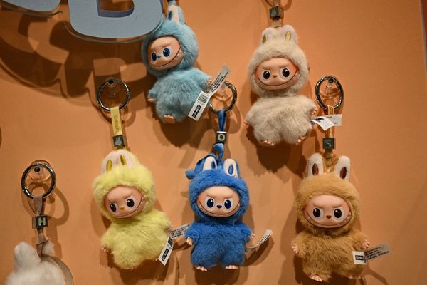 Australian charged with stealing Labubu dolls worth more than £4,000