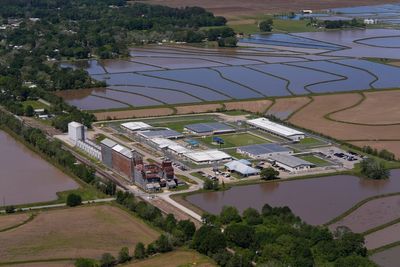 Immigrant rights group calls for removing pregnant women from detention