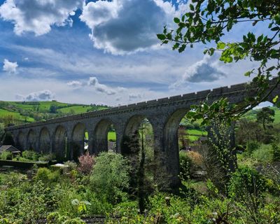 The most joyous four hours I’ve ever spent on a train? My trip from Swansea on Tuesday