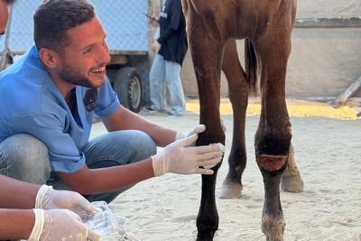 Gaza vet ‘killed by Israeli troops’ while returning home after ceasefire declared
