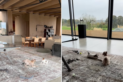 Ellen DeGeneres takes fans inside $30 million Cotswolds home for the first time