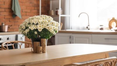 You Can Grow These 3 Fall Flowers Indoors to Bring Seasonal Color to Your Interiors – Here's How to Keep Them Blooming For Longer