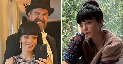 Lily Allen’s Heartbreaking Confession Has Internet Split Over Whether David Harbour Should Be Fired