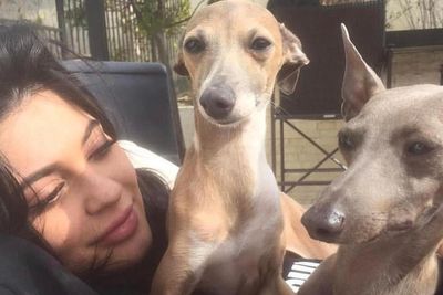 Kylie Jenner announces death of ‘precious’ dog Norman in emotional tribute