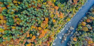 The pollution court case that could reach far beyond the banks of the River Wye