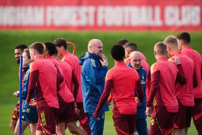 Badge of honour: Sean Dyche has Forest history but focuses on urgent task at hand