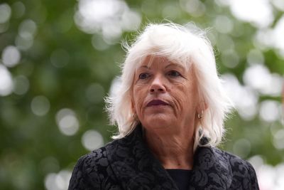 Inquiry into mental health deaths told ex-footballer was treated ‘like animal’