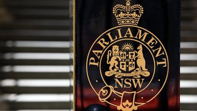 'Sword' could help millions act on human rights