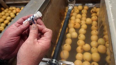 European Parliament rebels against simplified sustainability requirements