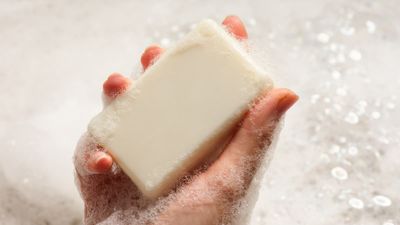 Woman horrified to learn boyfriend has been using shared soap to clean his backside but his family try to normalize it