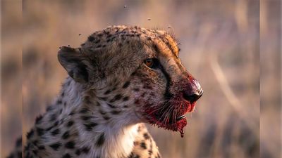 £10,000 in prizes – Entries open for London Camera Exchange Photographer of the Year 2026