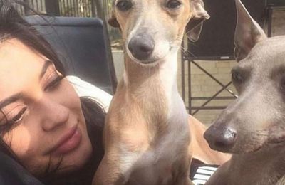 Kylie Jenner mourns death of her Italian Greyhound