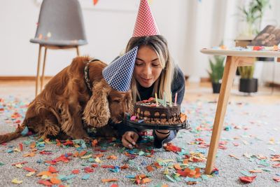 How dogs can help us learn about human ageing