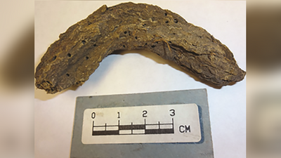 1,300-year-old poop reveals pathogens plagued prehistoric people in Mexico's 'Cave of the Dead Children'