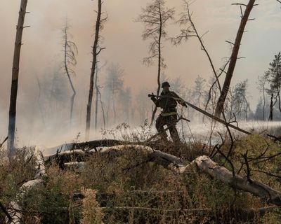 Wildfires have consumed vast chunks of Ukraine. Is Russia deliberately fuelling the flames?