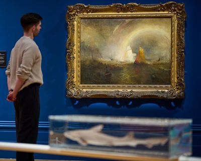 Turner seascapes and Damien Hirst sharks: Liverpool anniversary exhibition hopes to surprise
