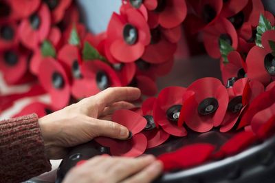 Where to buy a poppy? As Royal British Legion launches 2025 poppy appeal