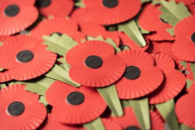 Royal British Legion launches annual poppy appeal