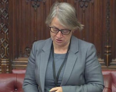 UK campaigners launch bill to give nature legal rights