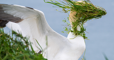 The Nikon Comedy Wildlife Awards Strikes Again With The Most Amazing Photos