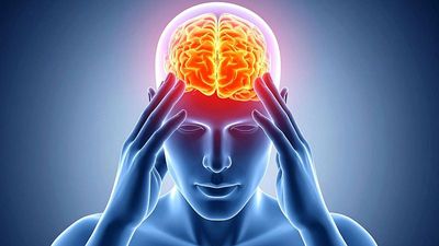 Men’s brains shrink faster with age than women’s, study finds