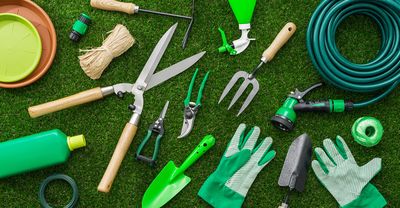 Why You Should Never Skip Cleaning Garden Tools in Autumn