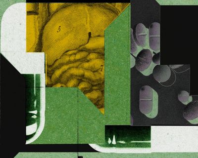 Herbal supplements were supposed to make them healthier. Instead, they got sick