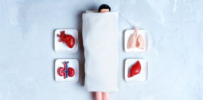 From monkey glands to ‘young blood’: the long, strange history of chasing immortality through transplants