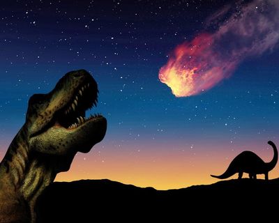 Dinosaurs were thriving until asteroid struck, research suggests