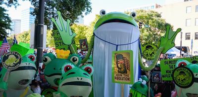 Why US activists are wearing inflatable frog costumes at protests against Trump