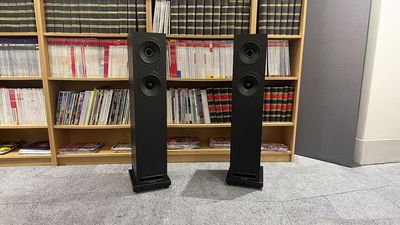 What Hi-Fi? Awards 2025: Fyne Audio makes a splash in the floorstanding speakers category with two talented winners