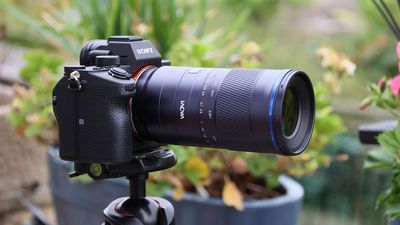 Laowa 180mm f/4.5 1.5X Ultra Macro APO review