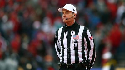 SEC Suspends Longtime Referee Over Poor Performance in Georgia-Auburn Game