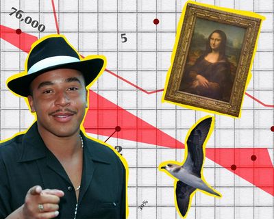 The Crunch: how bird migration is changing; French museum heists; and Lou Bega’s greatest hit