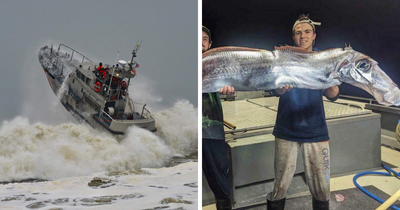 96 Of The Most Frightening Photos People Have Ever Taken While On The Job (New Pics)