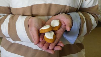 How the honey jumble avoids extinction in the bush