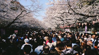 Planning a trip to Japan? Expect higher visa fees and tourist taxes in 2026