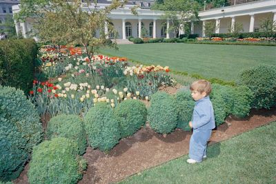Jackie Kennedy’s grandson slams Trump for ‘pouring concrete’ all over former First Lady’s garden