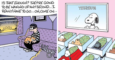 Best Of “Off the Mark”: 66 Cartoons That Prove Everyday Life Can Be Hilarious