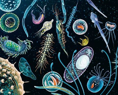 Children and teens roundup – the best new picture books and novels