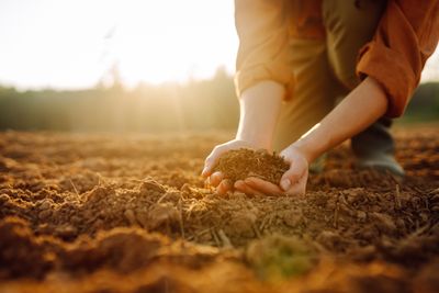 How to Balance Soil pH Before Winter