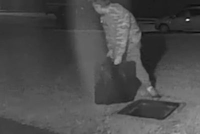Hooded thief steals 21 manhole covers from London street in early morning heist