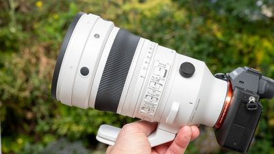 Sigma 200mm f/2 DG OS Sports review: sometimes bigger really is better, and faster